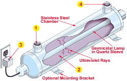 Ultraviolet (UV) Filteration | Euro Plumbing Ltd